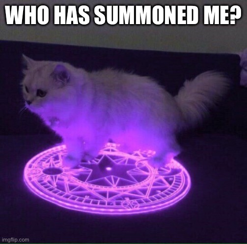 Who has summoned the almighty one | WHO HAS SUMMONED ME? | image tagged in who has summoned the almighty one | made w/ Imgflip meme maker