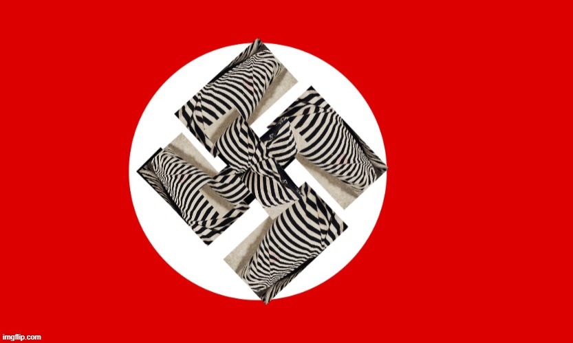 Ayden nazi flag | image tagged in ayden nazi flag | made w/ Imgflip meme maker