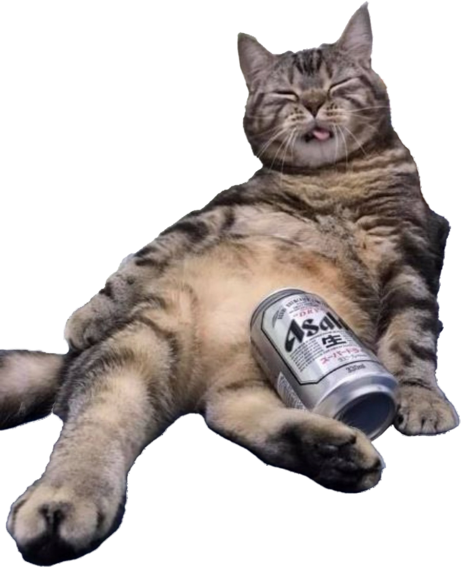 Drunk Cat Blank Meme Template