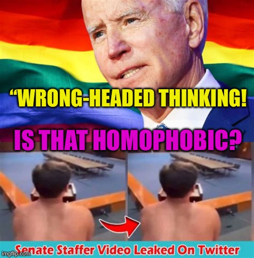 Biden celebrates another week for people who think with the wrong head! | “WRONG-HEADED THINKING! IS THAT HOMOPHOBIC? | image tagged in gifs,biden,democrats,lgbtq,woke | made w/ Imgflip meme maker