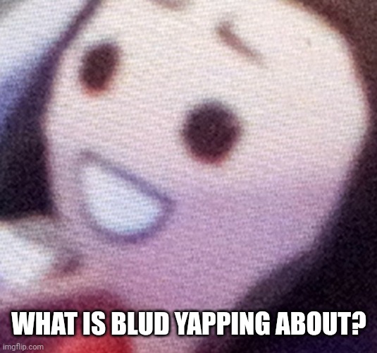 Wild Stare | WHAT IS BLUD YAPPING ABOUT? | image tagged in wild stare | made w/ Imgflip meme maker