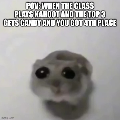 sad hamster | POV: WHEN THE CLASS PLAYS KAHOOT AND THE TOP 3 GETS CANDY AND YOU GOT 4TH PLACE | image tagged in sad hamster,kahoot,memes,meme,funny,hamster | made w/ Imgflip meme maker
