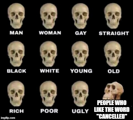 THIS WORD FRIGHTENS ME | PEOPLE WHO LIKE THE WORD
"CANCELLED" | image tagged in idiot skull,stop the cancelled word | made w/ Imgflip meme maker