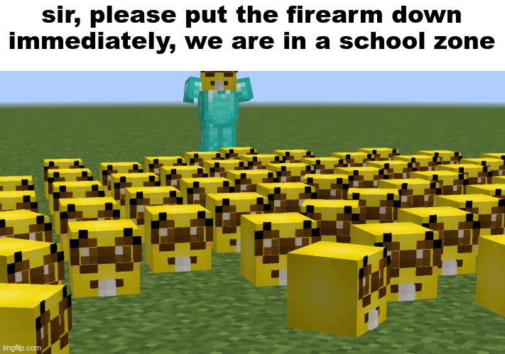 nerdulations | sir, please put the firearm down immediately, we are in a school zone | image tagged in nerdulations | made w/ Imgflip meme maker