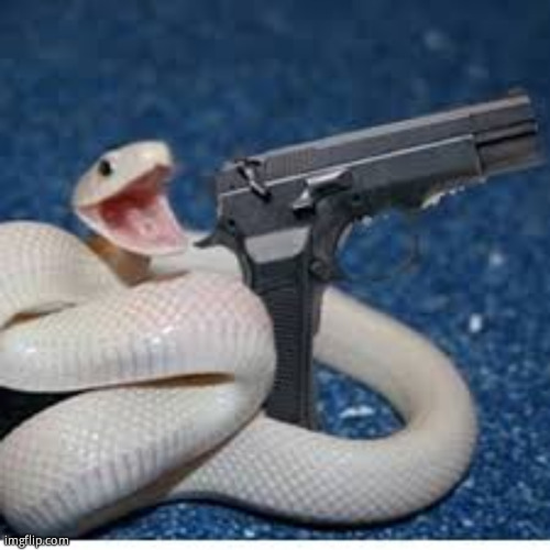 snake got gun | image tagged in snake got gun | made w/ Imgflip meme maker