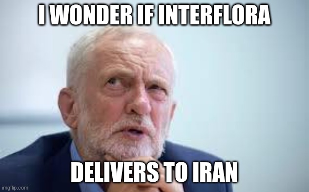 Blame Corbyn | I WONDER IF INTERFLORA; DELIVERS TO IRAN | image tagged in iran,helicopter,president,crash,jeremy corbyn,iranian | made w/ Imgflip meme maker