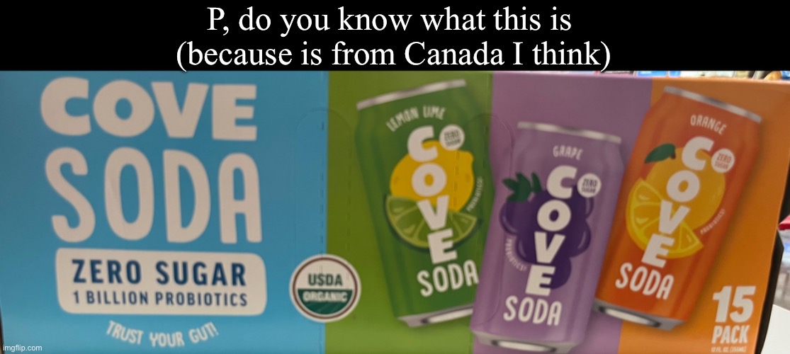 P have you seen this before? (Because I looked it up and says is from Canada) | P, do you know what this is 
(because is from Canada I think) | image tagged in canada,serialdesignationp | made w/ Imgflip meme maker