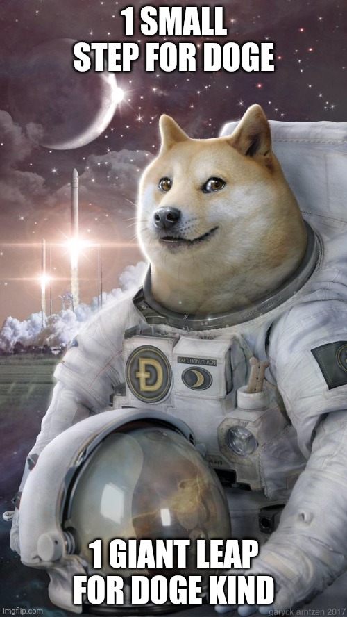 Dogecoin | 1 SMALL STEP FOR DOGE; 1 GIANT LEAP FOR DOGE KIND | image tagged in dogecoin | made w/ Imgflip meme maker