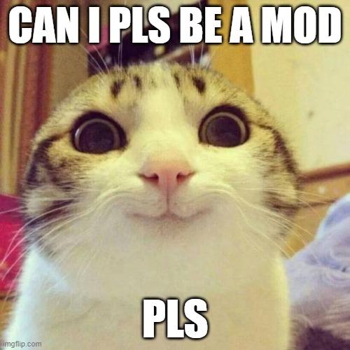 pls | CAN I PLS BE A MOD; PLS | image tagged in memes,smiling cat | made w/ Imgflip meme maker