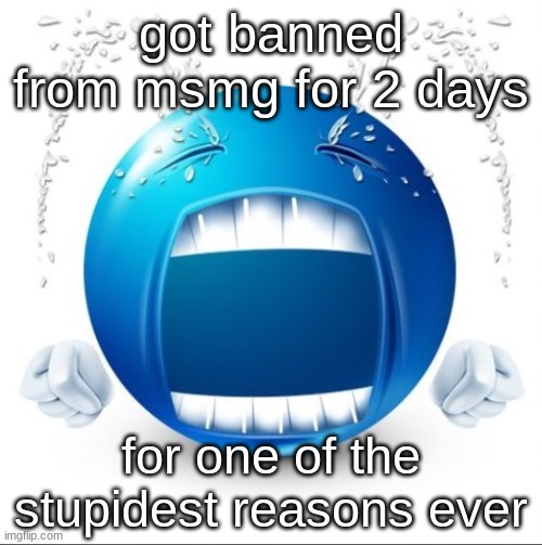 so now im here for a bit | got banned from msmg for 2 days; for one of the stupidest reasons ever | image tagged in crying blue guy | made w/ Imgflip meme maker