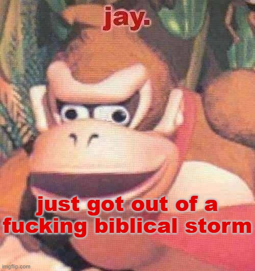 it was hailing, thundering, the tornado sirens were off and my house was on fire and underwater simultaneously | just got out of a fucking biblical storm | image tagged in jay announcement temp | made w/ Imgflip meme maker