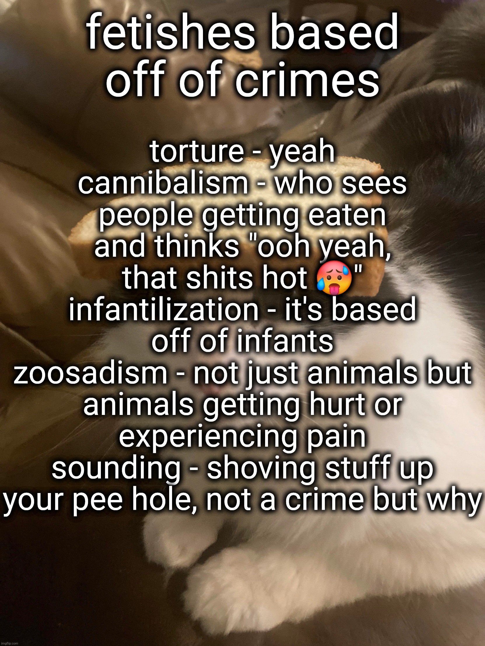 h | torture - yeah
cannibalism - who sees people getting eaten and thinks "ooh yeah, that shits hot 🥵"
infantilization - it's based off of infants
zoosadism - not just animals but animals getting hurt or experiencing pain
sounding - shoving stuff up your pee hole, not a crime but why; fetishes based off of crimes | image tagged in bread cat | made w/ Imgflip meme maker