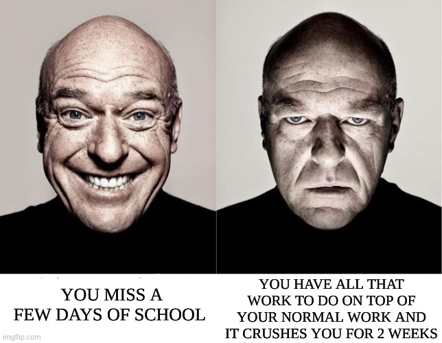 You feel so happy...until... | YOU MISS A FEW DAYS OF SCHOOL; YOU HAVE ALL THAT WORK TO DO ON TOP OF YOUR NORMAL WORK AND IT CRUSHES YOU FOR 2 WEEKS | image tagged in breaking bad smile frown | made w/ Imgflip meme maker