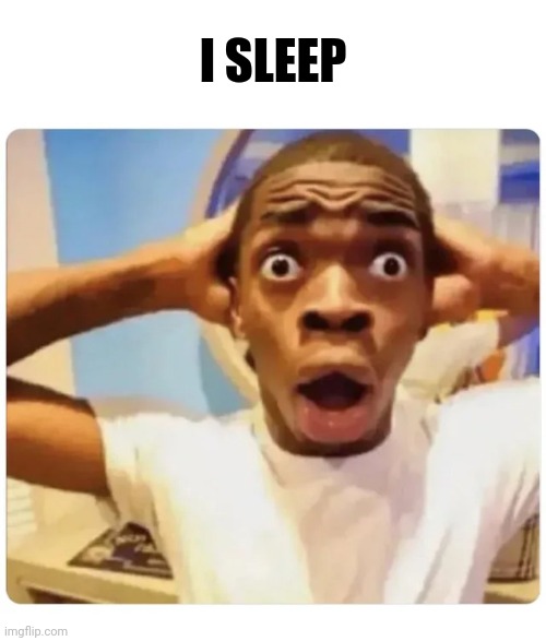 Black guy suprised | I SLEEP | image tagged in black guy suprised | made w/ Imgflip meme maker