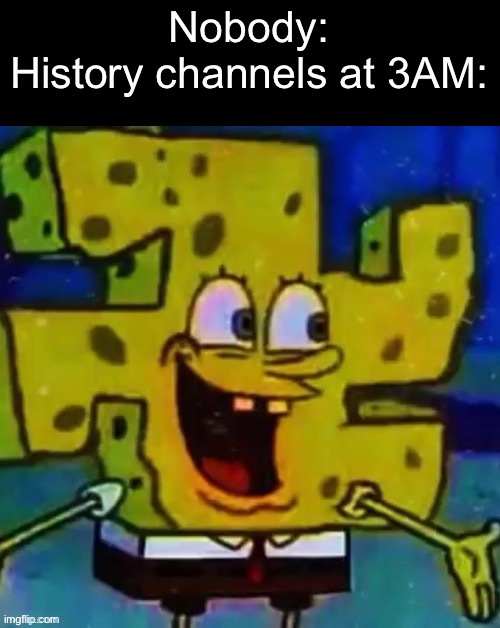 nazi SpongeBob | Nobody:
History channels at 3AM: | image tagged in nazi spongebob | made w/ Imgflip meme maker