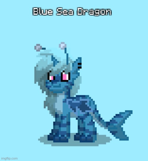 Glaucus atlanticus, or Blue Sea Dragon | made w/ Imgflip meme maker