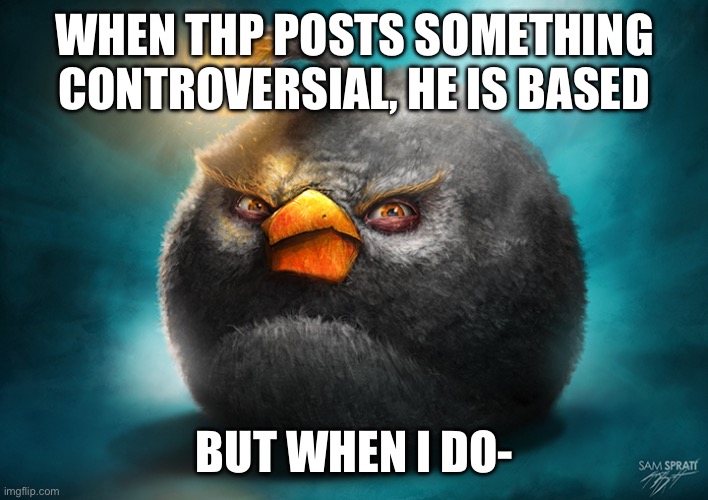 be disliked by msmg community speedrun | WHEN THP POSTS SOMETHING CONTROVERSIAL, HE IS BASED; BUT WHEN I DO- | image tagged in realistic bomb angry bird | made w/ Imgflip meme maker