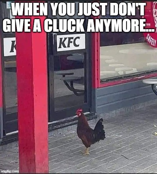 KFC Hen | WHEN YOU JUST DON'T GIVE A CLUCK ANYMORE... | image tagged in suicide,suicidal hen,kentucky fried chicken,dark humor,humor,kfc colonel sanders | made w/ Imgflip meme maker