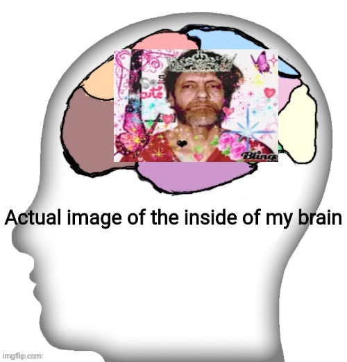 Actual image of the inside of my brain | image tagged in actual image of the inside of my brain | made w/ Imgflip meme maker