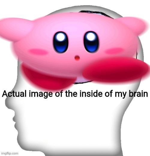 Actual image of the inside of my brain | image tagged in actual image of the inside of my brain,kirby running | made w/ Imgflip meme maker