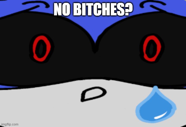 Metal Sonic is sad | NO BITCHES? | image tagged in metal sad no bitches | made w/ Imgflip meme maker