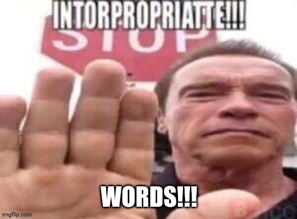 intorpropriatte | WORDS!!! | image tagged in intorpropriatte | made w/ Imgflip meme maker