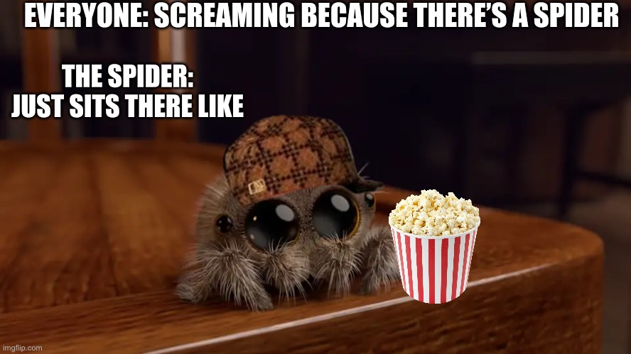 Spider was just chillin, why are they scared? | EVERYONE: SCREAMING BECAUSE THERE’S A SPIDER; THE SPIDER: JUST SITS THERE LIKE | image tagged in lucas the spider,hilarious memes,funny memes,spider,arachnophobia,random tag i decided to put | made w/ Imgflip meme maker