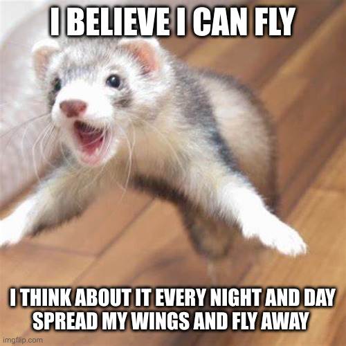Defying evolution one more time | I BELIEVE I CAN FLY; I THINK ABOUT IT EVERY NIGHT AND DAY
SPREAD MY WINGS AND FLY AWAY | image tagged in jumping ferret,icarus,memes,i believe i can fly,airborne,ambition | made w/ Imgflip meme maker