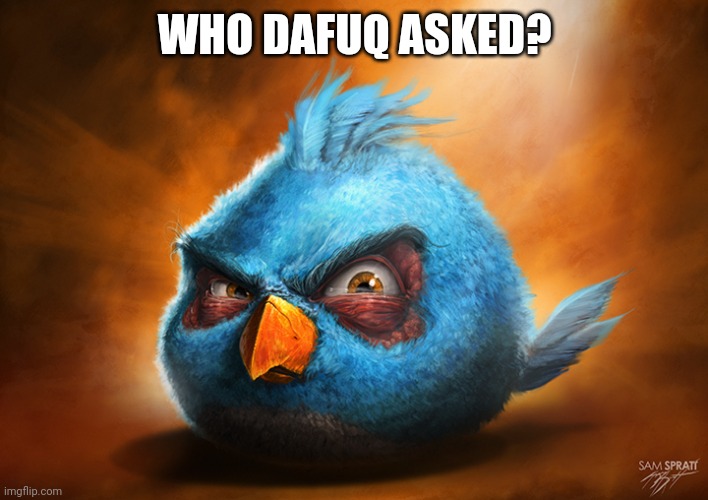 Who gave you the talking stick? | WHO DAFUQ ASKED? | image tagged in realistic blue angry bird | made w/ Imgflip meme maker