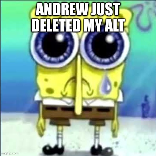 the alt was 300BLACKMENFORONLY2POUNDS | ANDREW JUST DELETED MY ALT | image tagged in sad spongebob | made w/ Imgflip meme maker