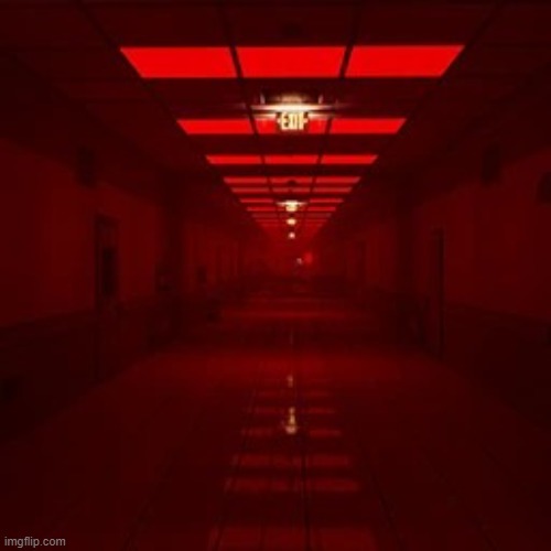 Backrooms Level Run | image tagged in backrooms level run | made w/ Imgflip meme maker
