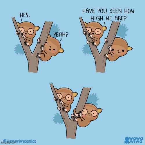image tagged in tarsiers,tree,high,scared | made w/ Imgflip meme maker