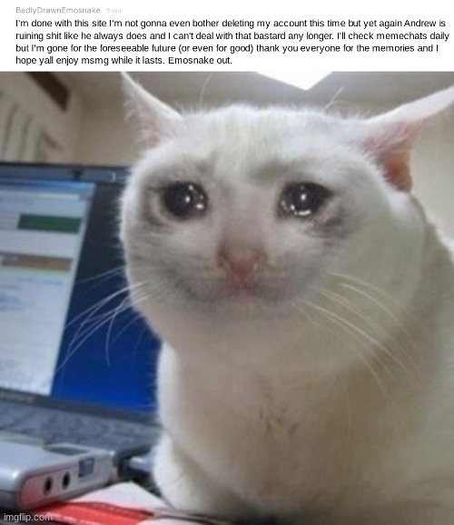 it is truly sad that emosnake got site wide perma banned for no reason | image tagged in crying cat | made w/ Imgflip meme maker
