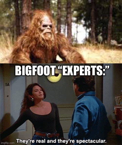 BIGFOOT “EXPERTS:” | image tagged in bigfoot,seinfeld boobs,fuuny | made w/ Imgflip meme maker