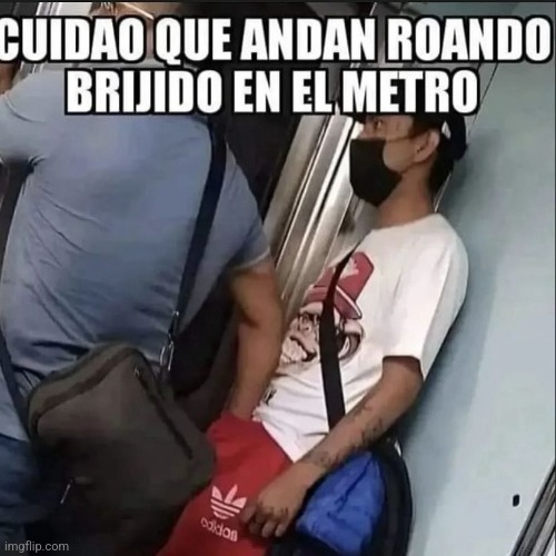 8qm4xm.jpg