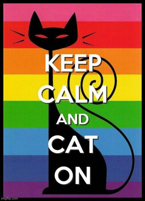 Lgbtq cat | image tagged in lgbtq cat | made w/ Imgflip meme maker