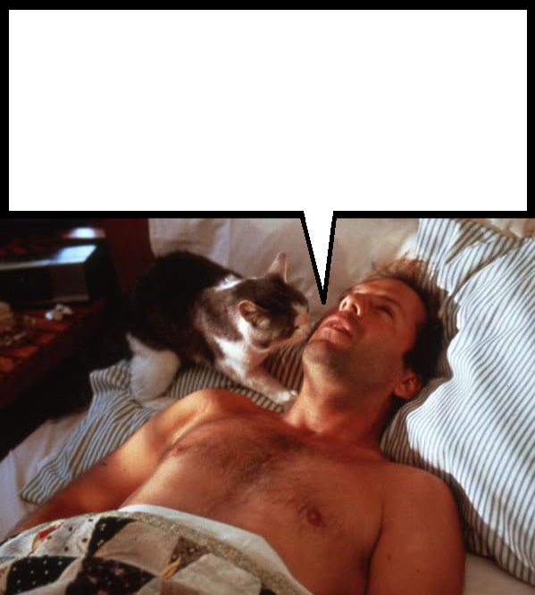 ANNOYING CAT VS. BRUCE WILLIS Blank Meme Template