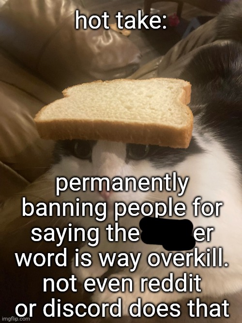 h | hot take:; permanently banning people for saying the bigger word is way overkill. not even reddit or discord does that | image tagged in bread cat | made w/ Imgflip meme maker