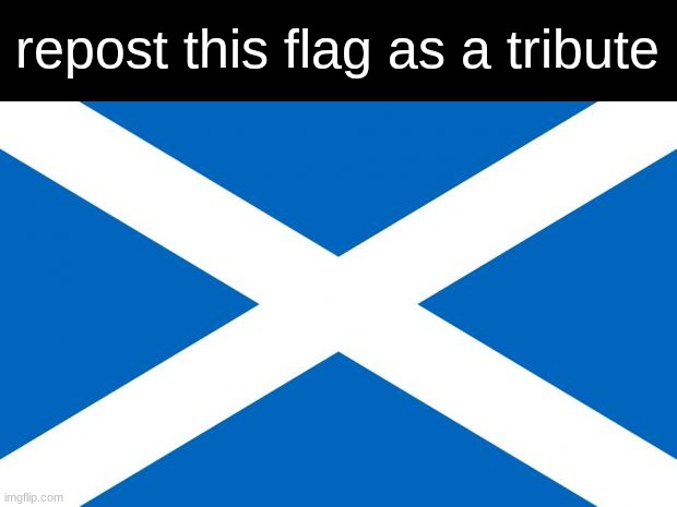 Scotland | repost this flag as a tribute | image tagged in scotland | made w/ Imgflip meme maker