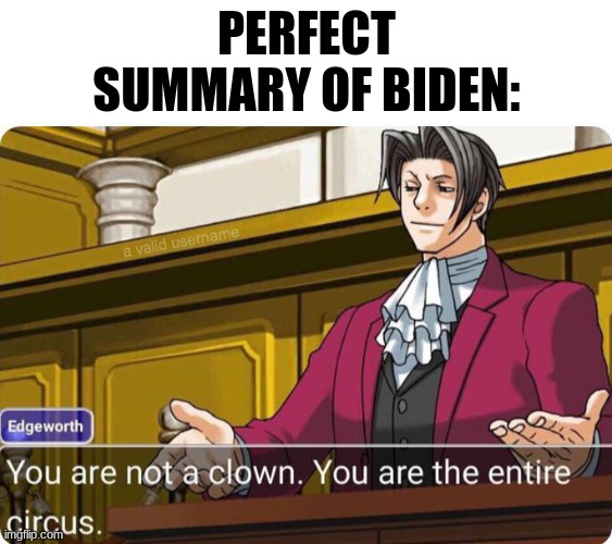 His real job is a circus director | PERFECT SUMMARY OF BIDEN: | image tagged in you are not a clown you are the entire circus,biden,democrats,clown | made w/ Imgflip meme maker