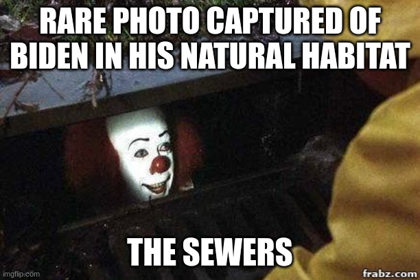 He's basically a rat | RARE PHOTO CAPTURED OF BIDEN IN HIS NATURAL HABITAT; THE SEWERS | image tagged in it clown,biden,democrats,rat | made w/ Imgflip meme maker