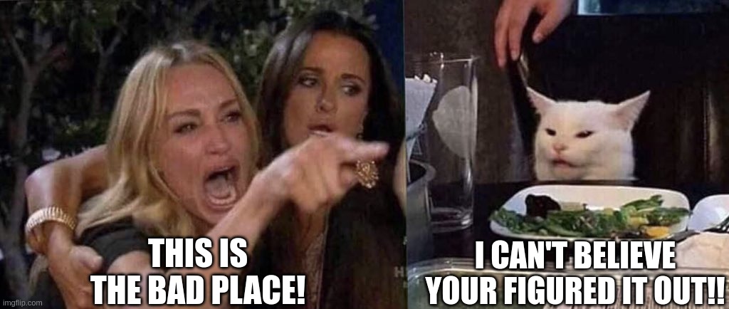 the bad place | THIS IS THE BAD PLACE! I CAN'T BELIEVE YOUR FIGURED IT OUT!! | image tagged in woman yelling at cat | made w/ Imgflip meme maker