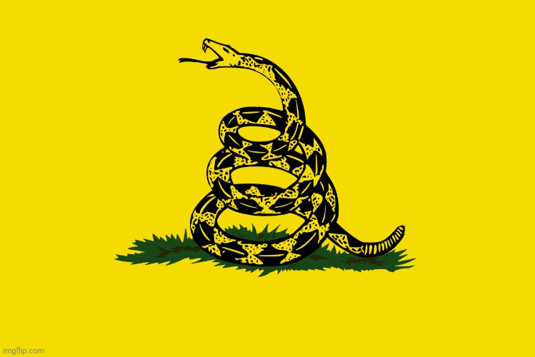 Gadsden Flag blank | image tagged in gadsden flag blank | made w/ Imgflip meme maker