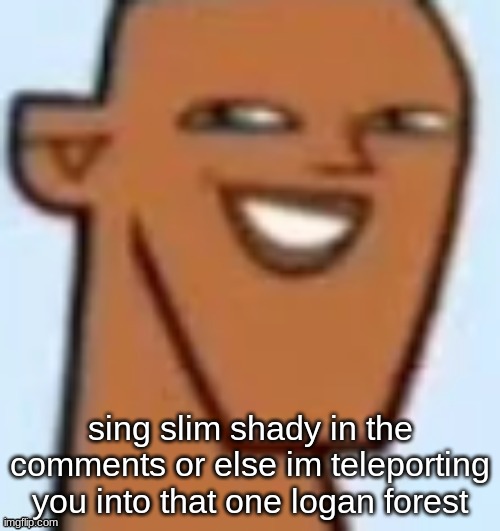 justin | sing slim shady in the comments or else im teleporting you into that one logan forest | image tagged in justin | made w/ Imgflip meme maker