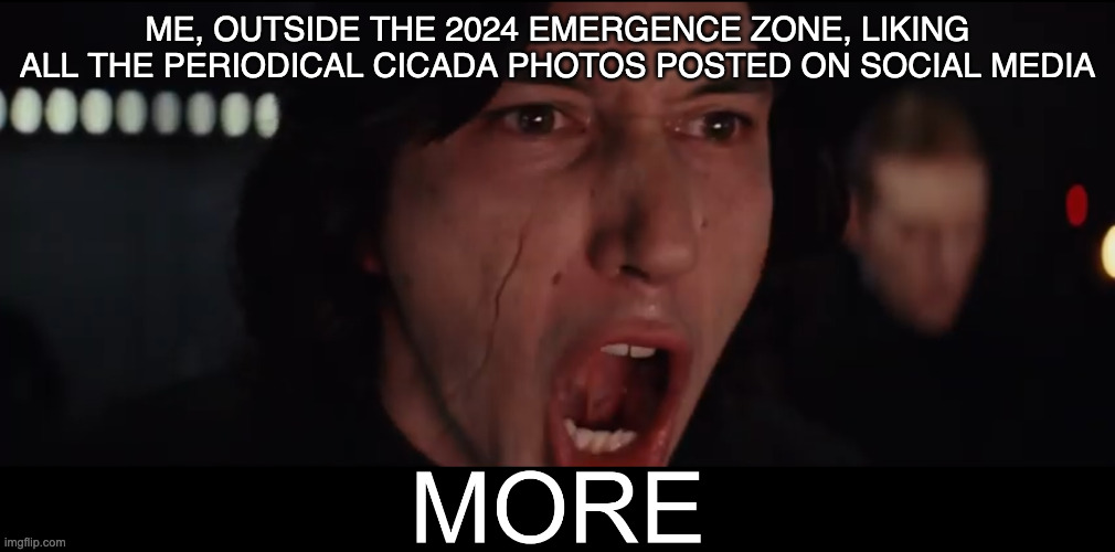 Kylo Ren MORE | ME, OUTSIDE THE 2024 EMERGENCE ZONE, LIKING ALL THE PERIODICAL CICADA PHOTOS POSTED ON SOCIAL MEDIA | image tagged in kylo ren more | made w/ Imgflip meme maker