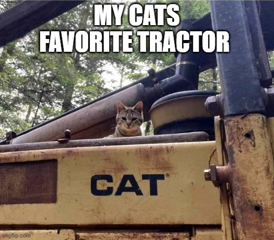 memes by Brad - My cats favorite tractor - humor | MY CATS FAVORITE TRACTOR | image tagged in funny,cats,kittens,tractor,funny cat memes,humor | made w/ Imgflip meme maker