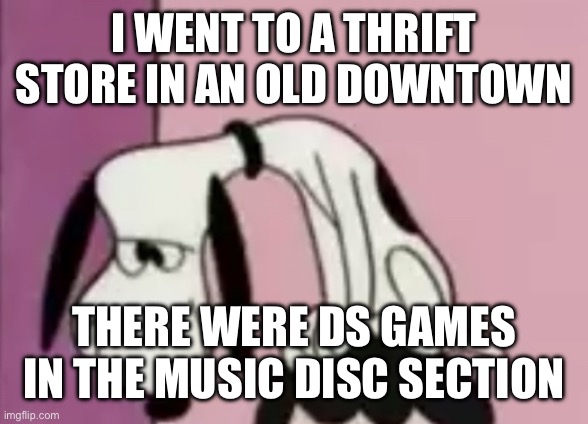 The snoops | I WENT TO A THRIFT STORE IN AN OLD DOWNTOWN; THERE WERE DS GAMES IN THE MUSIC DISC SECTION | image tagged in the snoops | made w/ Imgflip meme maker