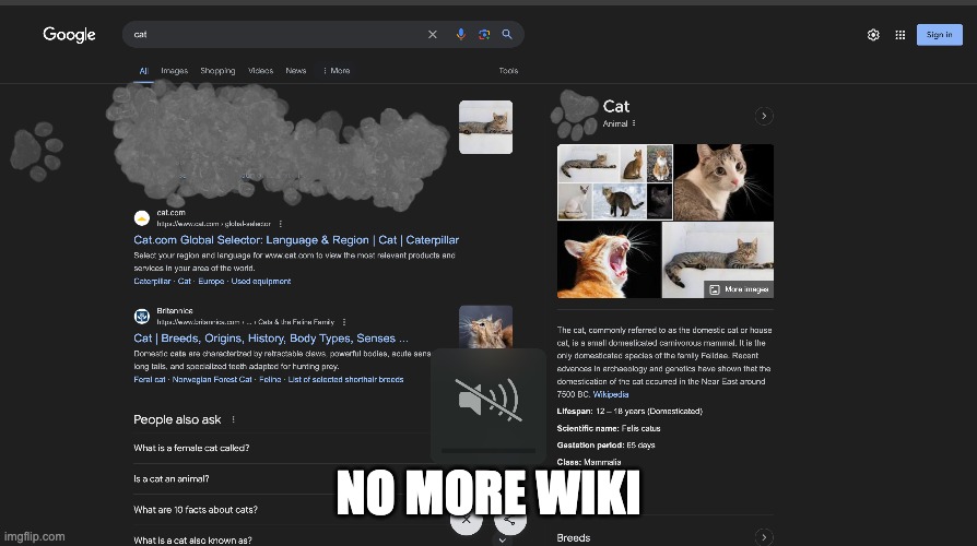 no more wiki | NO MORE WIKI | image tagged in funny | made w/ Imgflip meme maker
