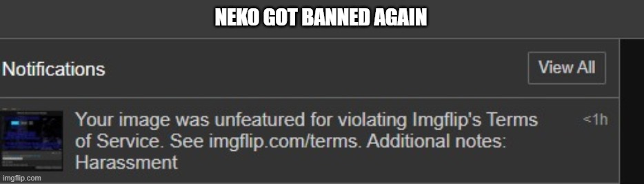 it seems today, that all you see, is false bans and furry porn in MSMG. | NEKO GOT BANNED AGAIN | made w/ Imgflip meme maker