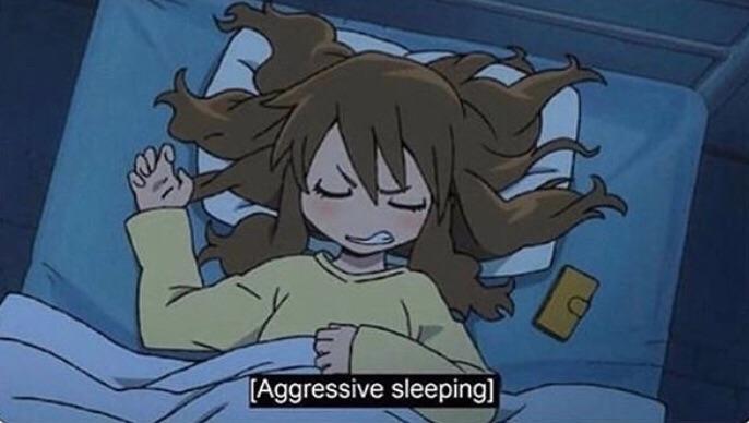 Aggressive sleeping Blank Meme Template